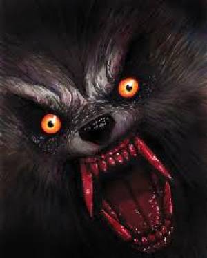 WildWestHero